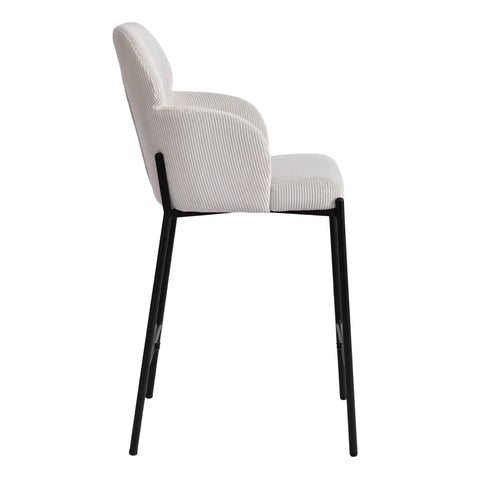 Frayden Counter Stool