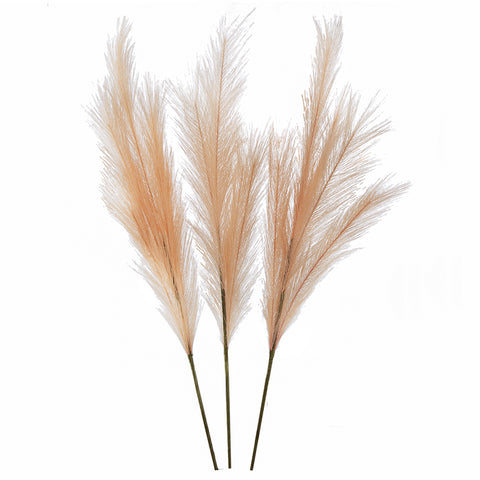 Pink Pampas Grass