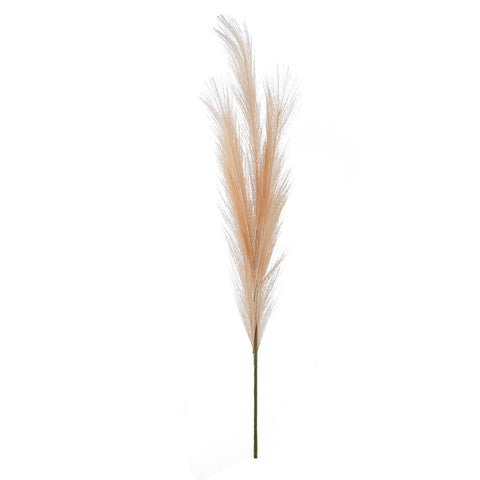 Pink Pampas Grass