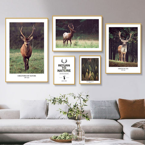 Fauna Set of 5 Alloy Matt - Golden Frame Wall Art