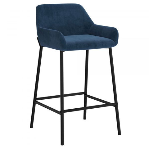 Baily 26'' Counter Stool, set of 2 in Blue
