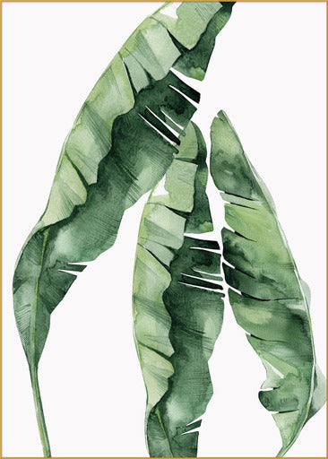 Green Envy Set of 5 Alloy Matt - Golden Frame Wall Art