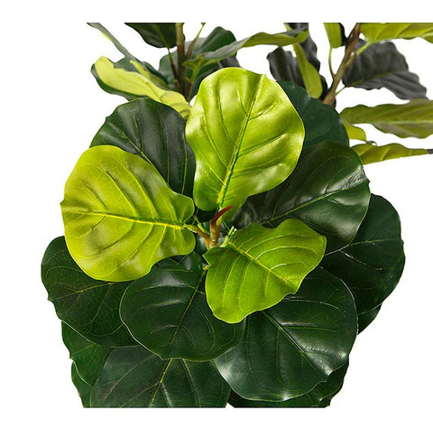 Fiddle Leaf Fig Faux Plant 200cm/ 78.74"