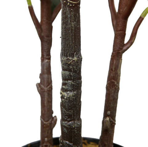 Oak Tree Faux Plant 160cm/ 63"