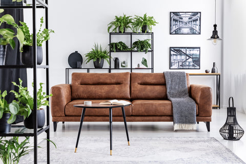 Should You Get a Leather or Fabric Sofa - The Guide