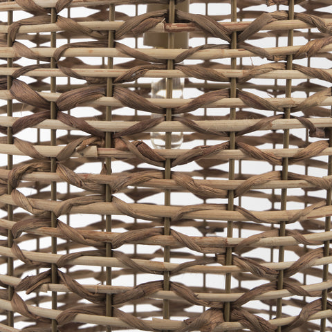 Sana Tall Watergrass Pendant Light