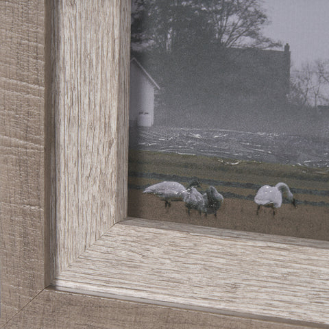 Cool Change by Nancy Crowell Photo Art Print