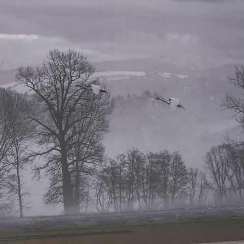 Cool Change by Nancy Crowell Photo Art Print