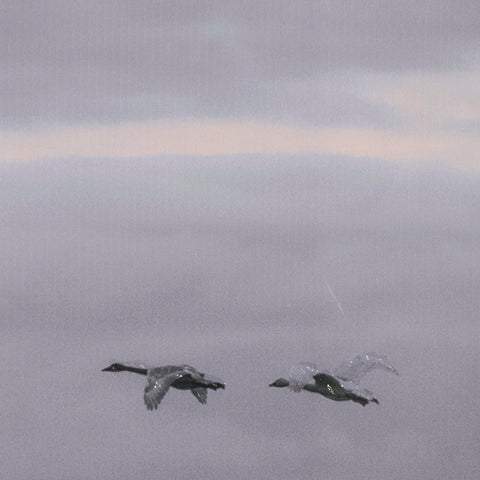 Cool Change by Nancy Crowell Photo Art Print