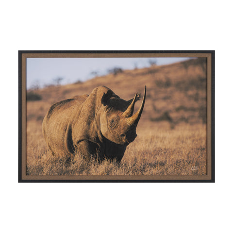Kenyan Rhino Framed Photo Art Print