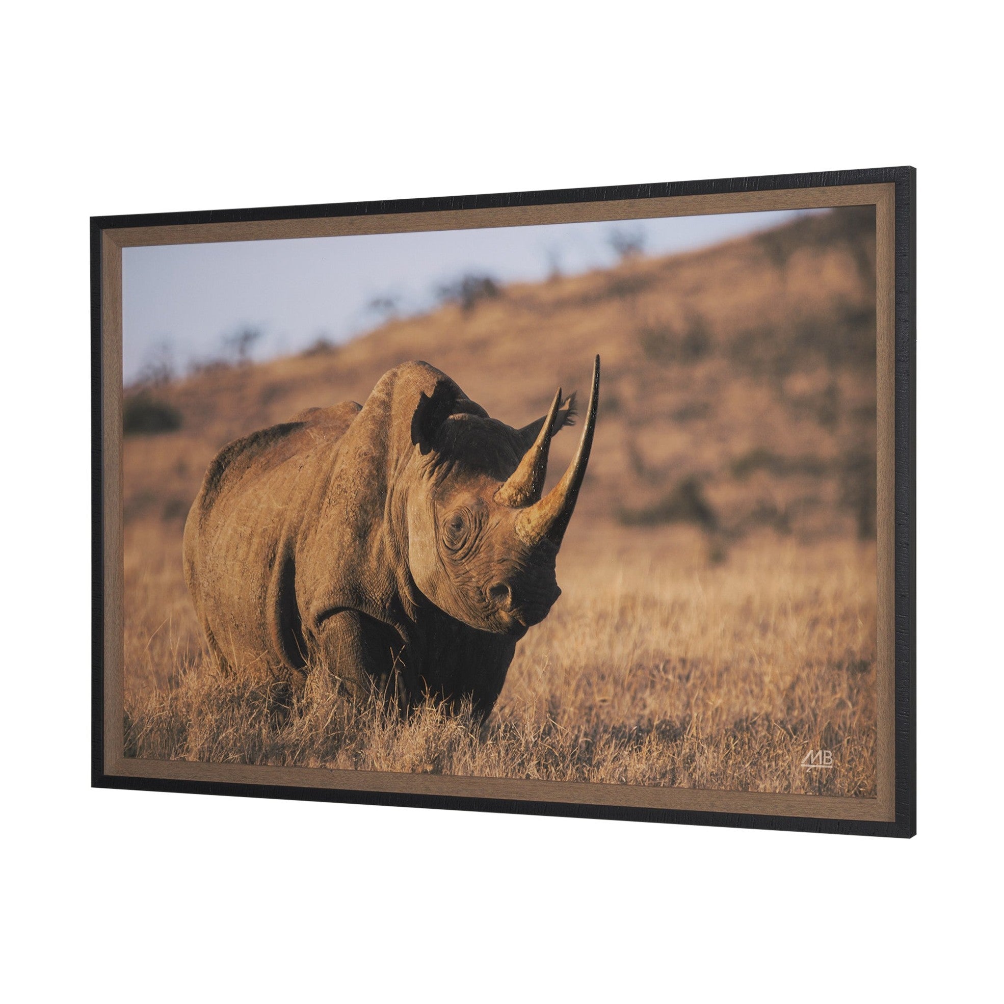 Kenyan Rhino Framed Photo Art Print
