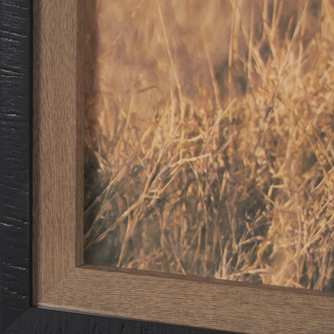 Kenyan Rhino Framed Photo Art Print