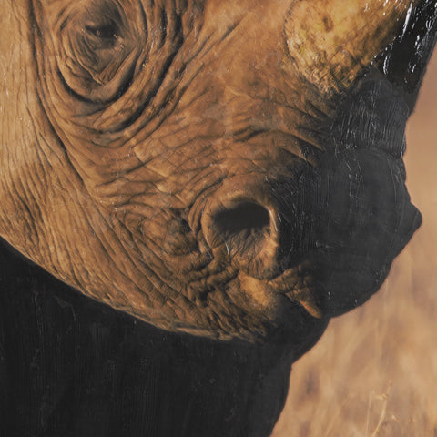 Kenyan Rhino Framed Photo Art Print