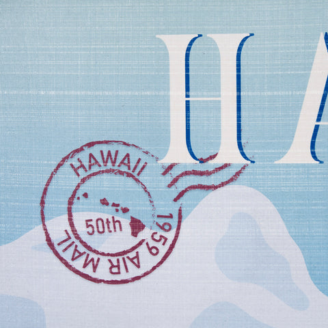 Hawaii Go USA by Mercana Studio Decograph Framed Art Print