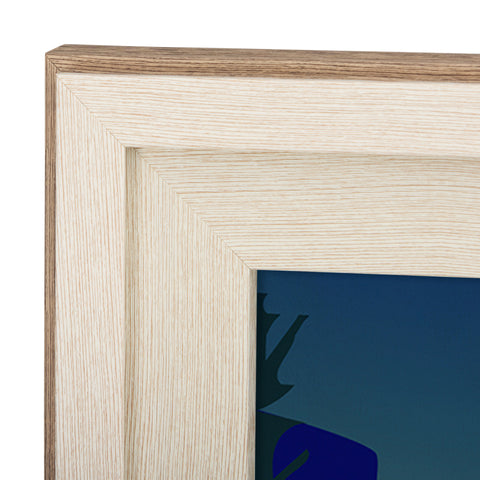 Alaska Go USA by Mercana Studio Decograph Framed Art Print