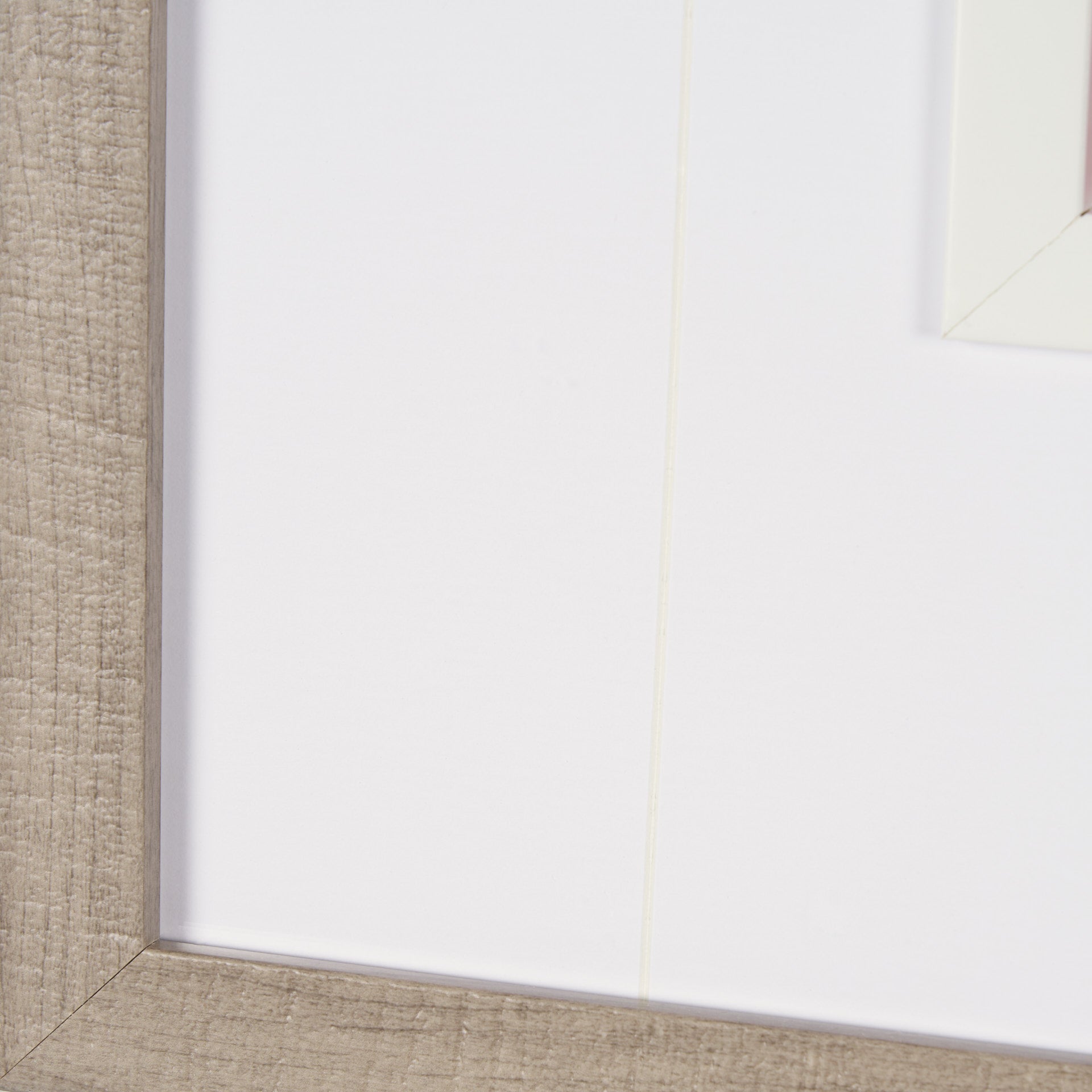 Blush Botanicals  Framed Photo Art Print