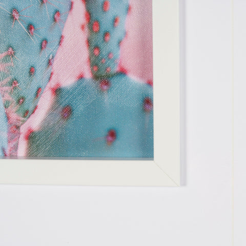 Blush Botanicals  Framed Photo Art Print