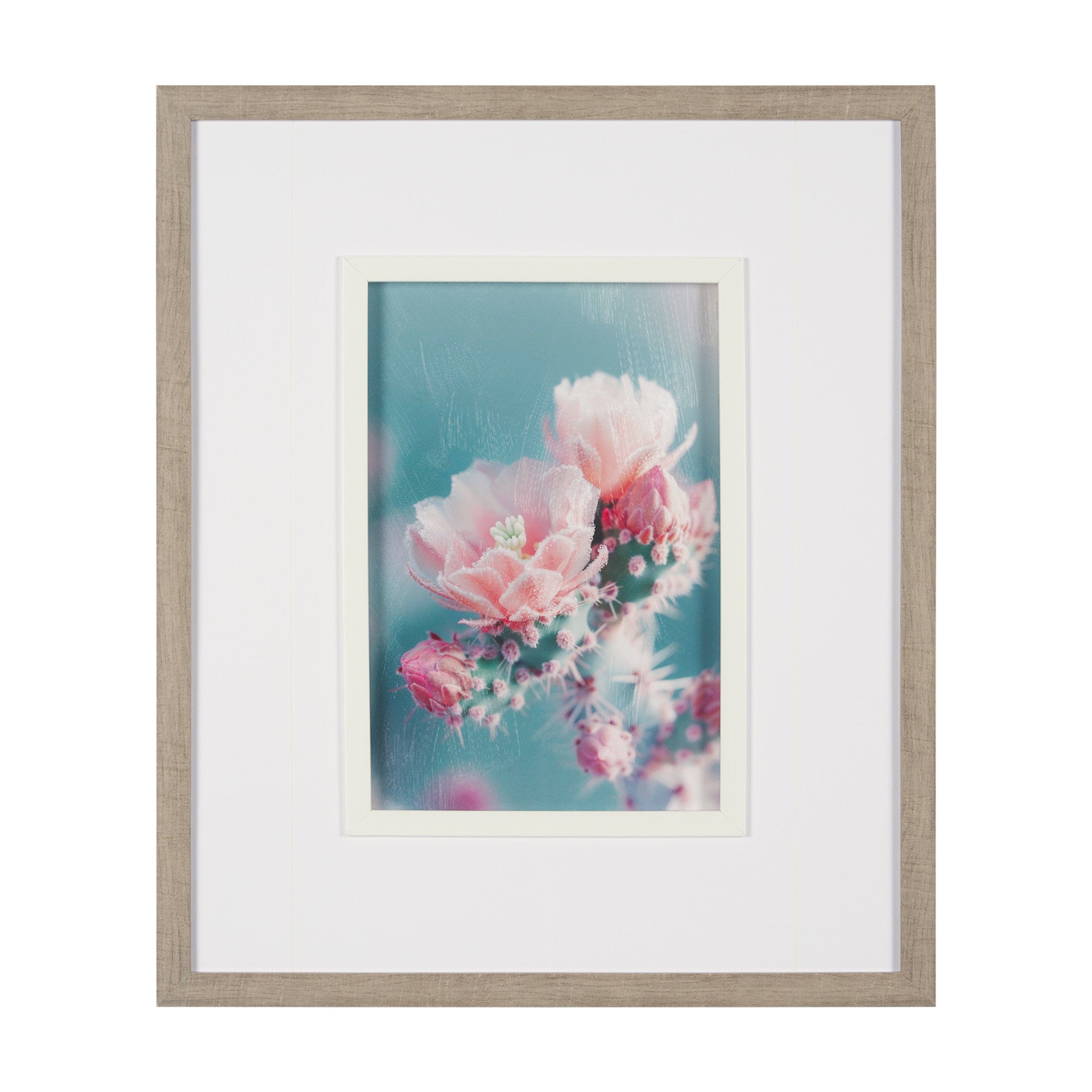 Blush Botanicals  Framed Photo Art Print
