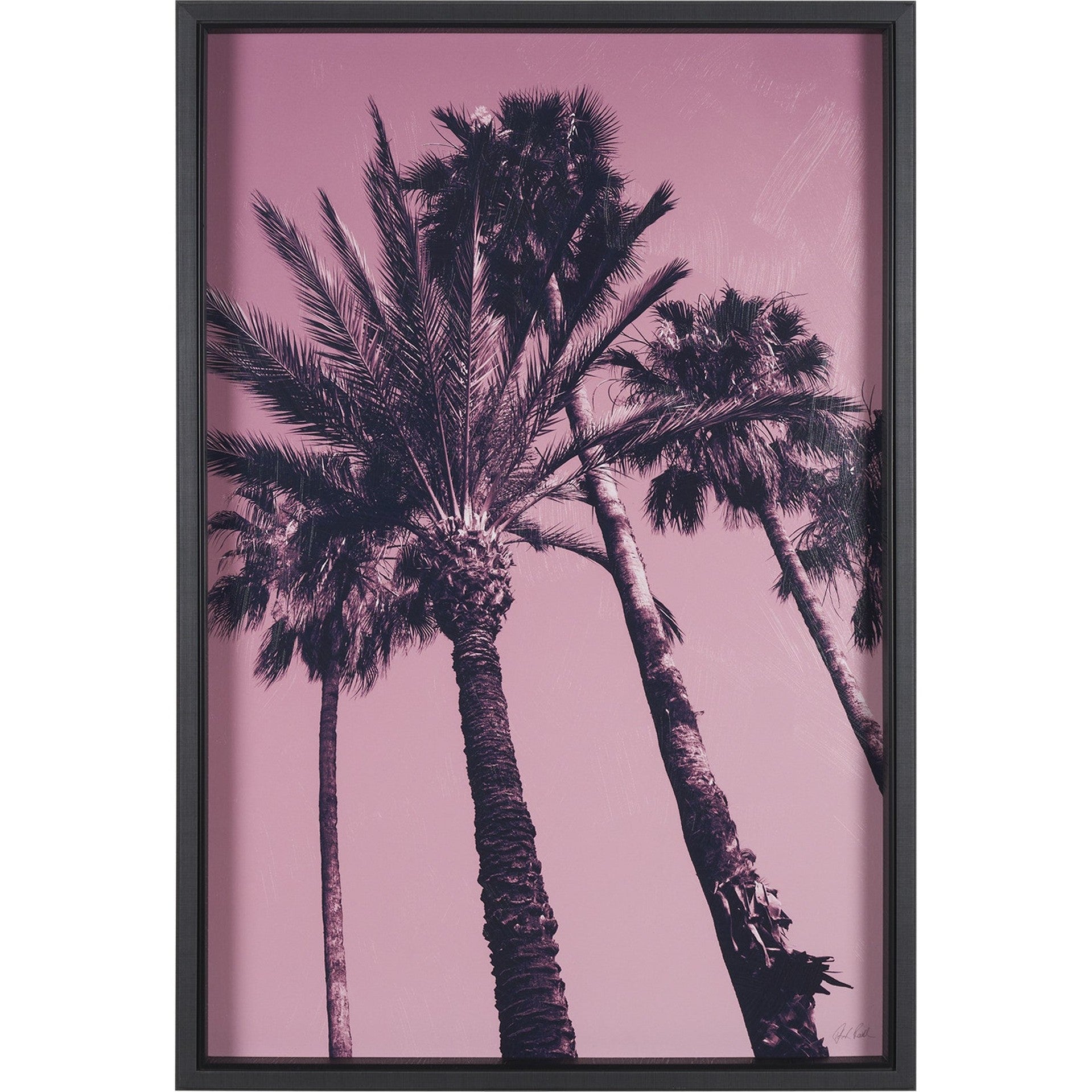 Pink Palms by Deborah Revell Framed Photo Art Print