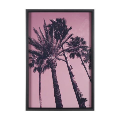 Pink Palms by Deborah Revell Framed Photo Art Print