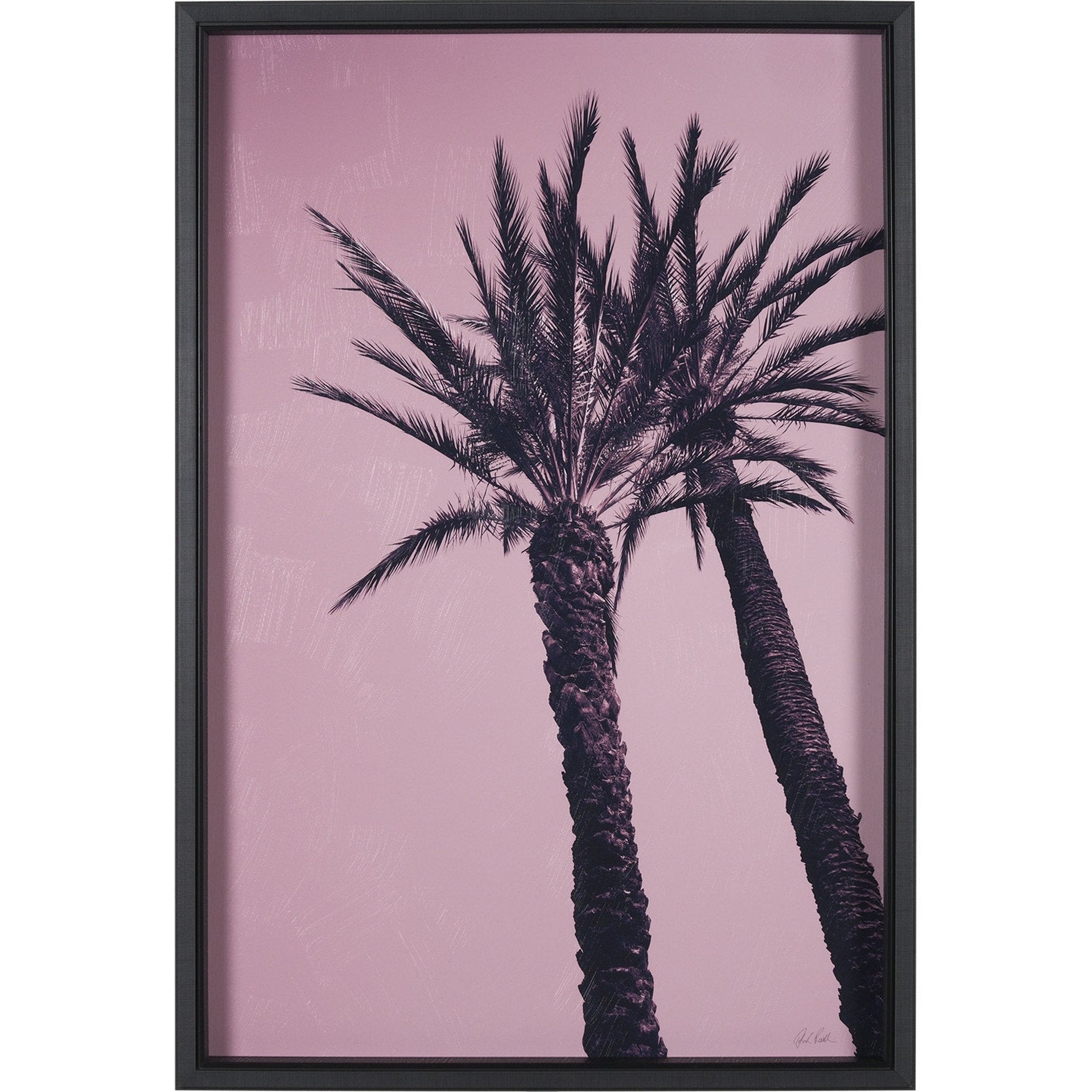 Pink Palms by Deborah Revell Framed Photo Art Print