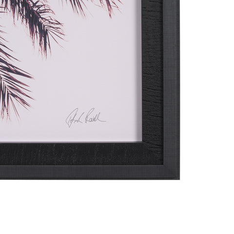 Pink Palms by Deborah Revell Framed Photo Art Print