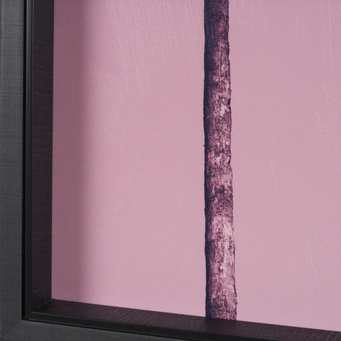 Pink Palms by Deborah Revell Framed Photo Art Print