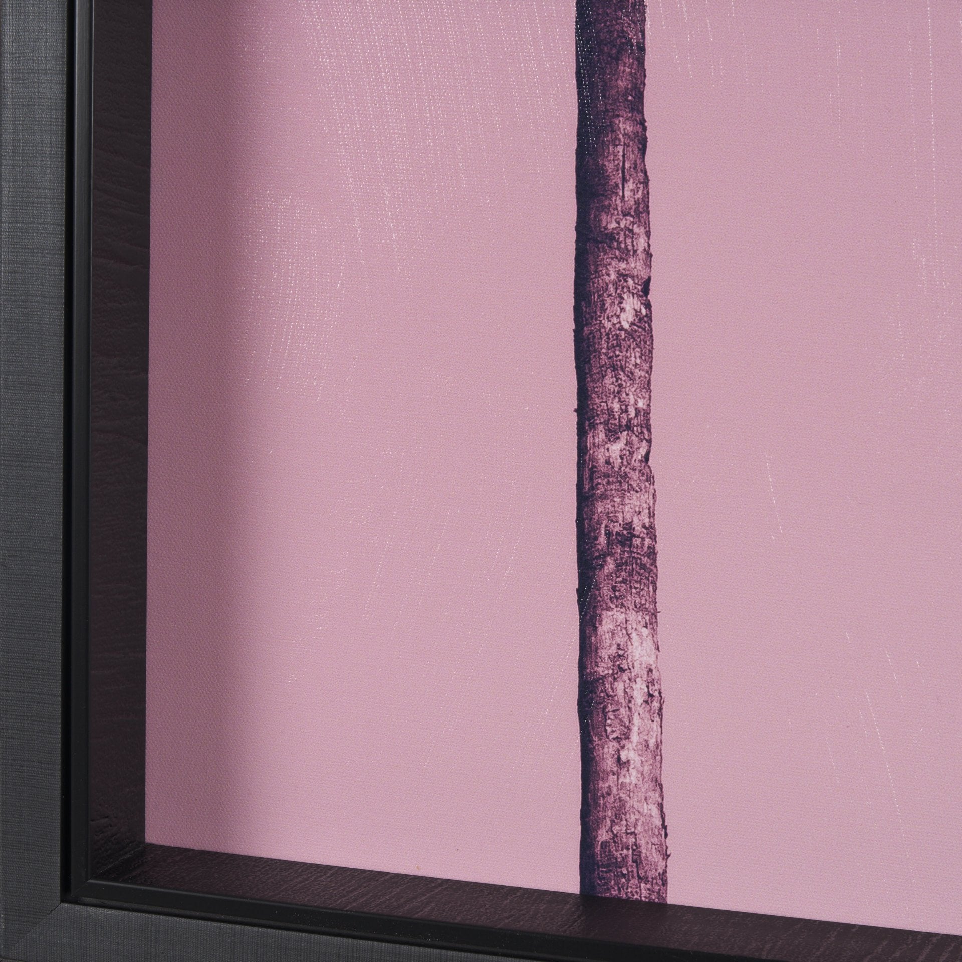 Pink Palms by Deborah Revell Framed Photo Art Print