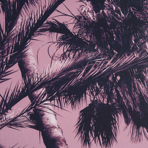 Pink Palms by Deborah Revell Framed Photo Art Print