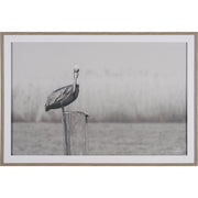 Pelican Stories Framed Art Print