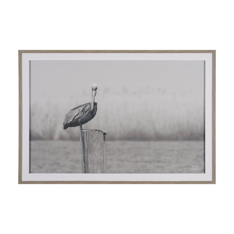 Pelican Stories Framed Art Print