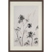 Meadow Framed Artwork Matted under Glass