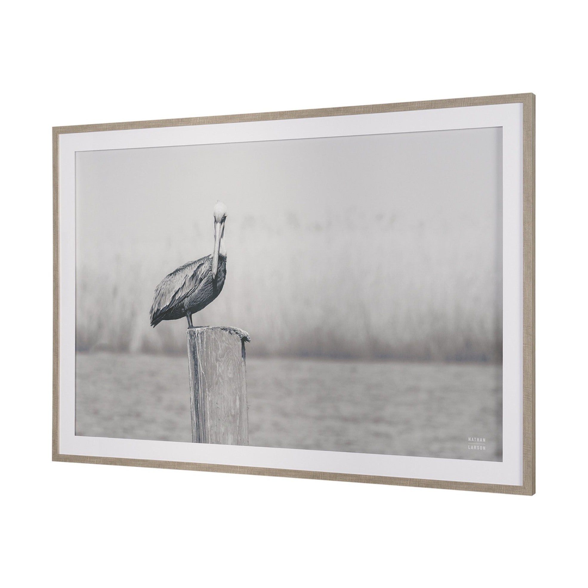 Pelican Stories Framed Art Print
