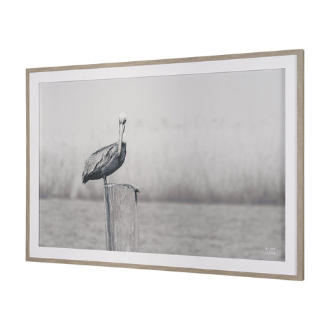 Pelican Stories Framed Art Print