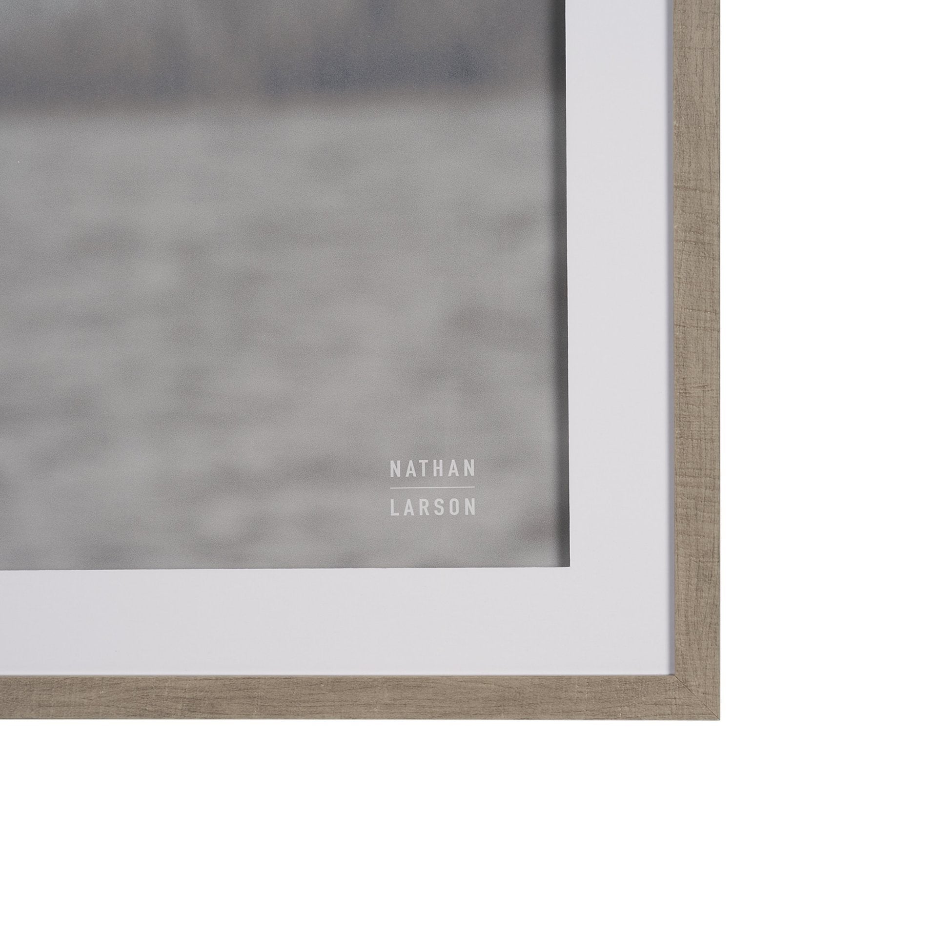 Pelican Stories Framed Art Print