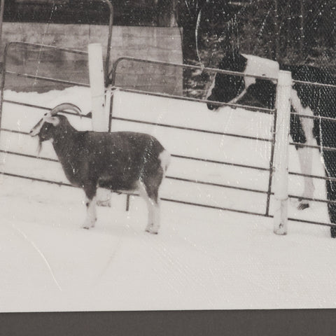 The Farm Textured Framed Art Print