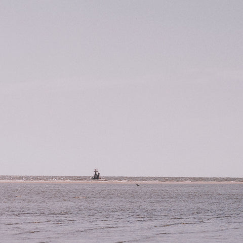 Morning Stroll by Kelly Frere Framed Art Print