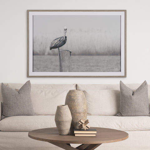 Pelican Stories Framed Art Print