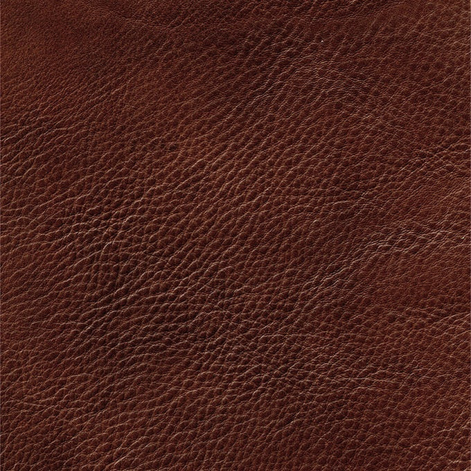 Jammie Genuine Leather Sofa