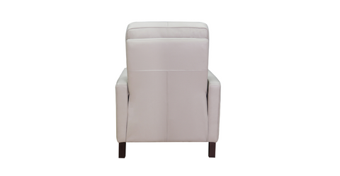 Ashbryn Power Headrest & Lumbar Zero Gravity Recliner