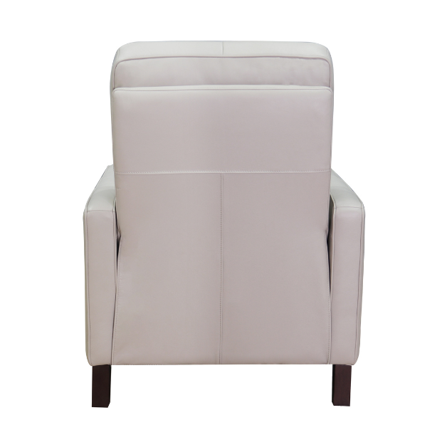 Ashbryn Power Headrest & Lumbar Zero Gravity Recliner