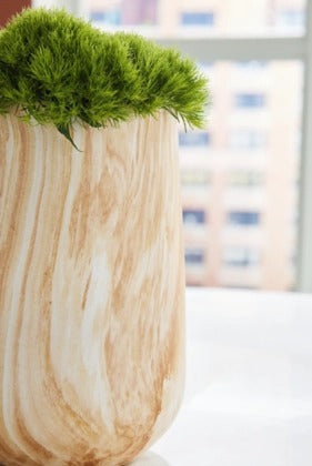 Cammen Vase-Small