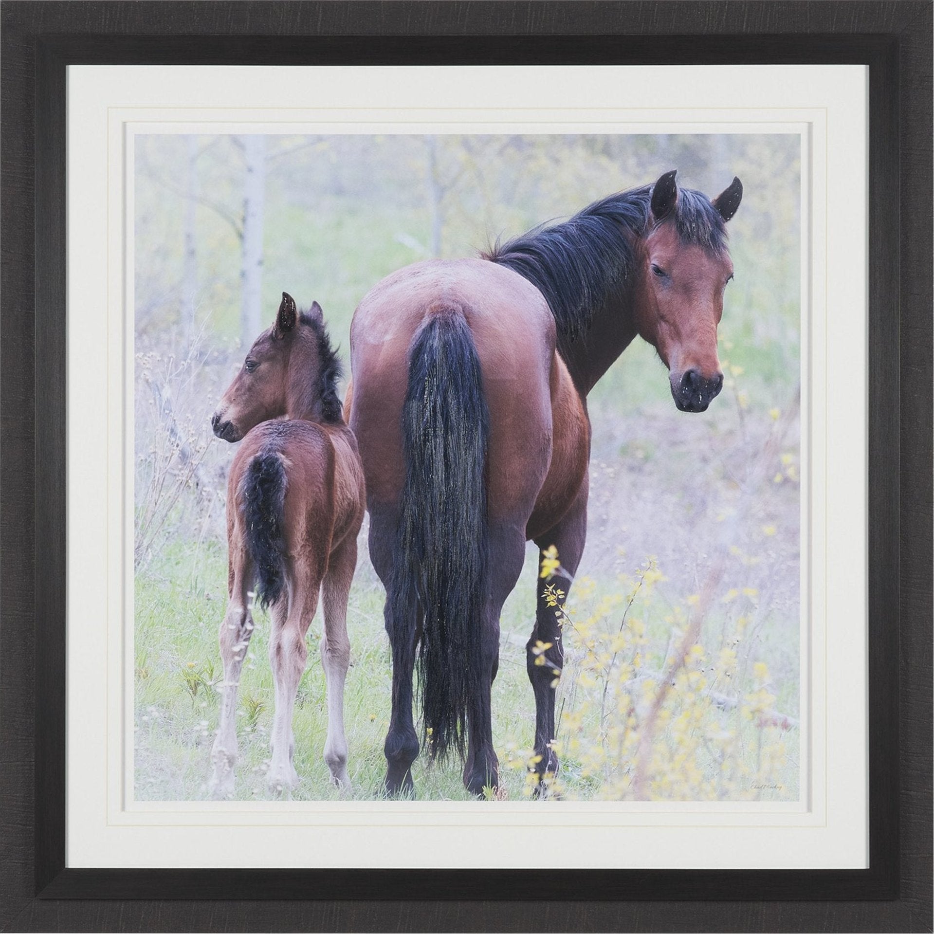 A Watchful Bond Framed Art Print Matted under Glass