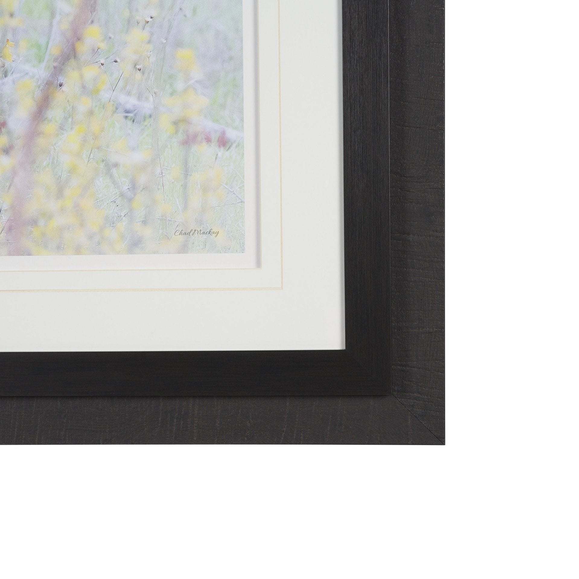 A Watchful Bond Framed Art Print Matted under Glass