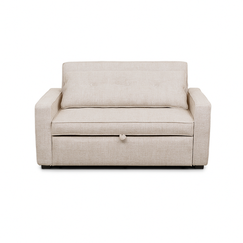 Argyle Pull Out Loveseat Bed