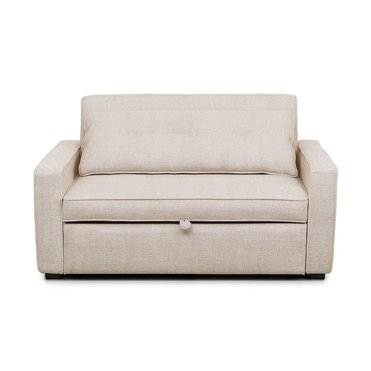 Argyle Pull Out Loveseat Bed