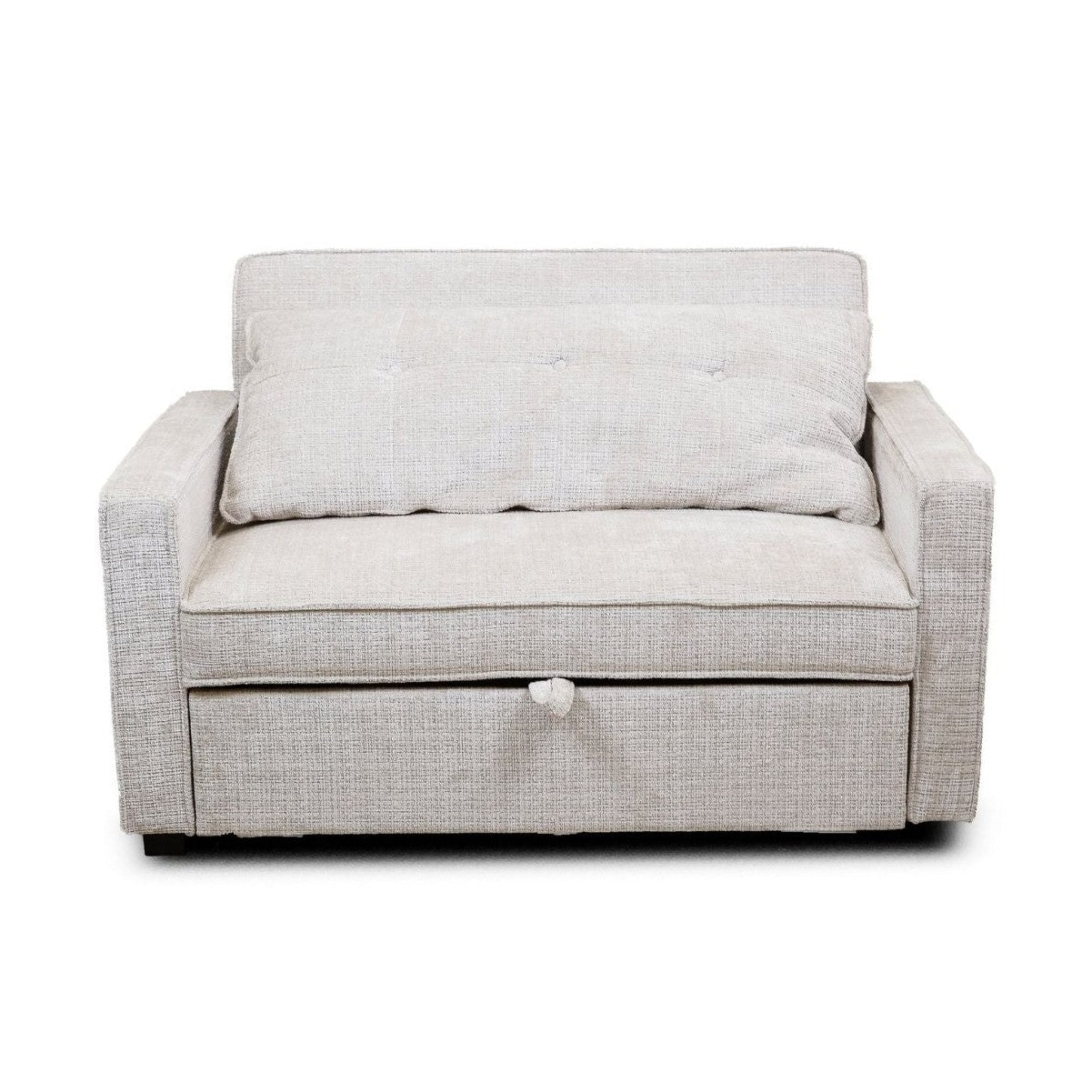Argyle Pull Out Loveseat Bed