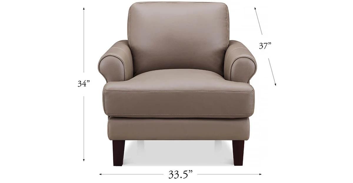 Austra Genuine Leather Accent Chair