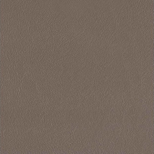 Austra Genuine Leather Accent Chair