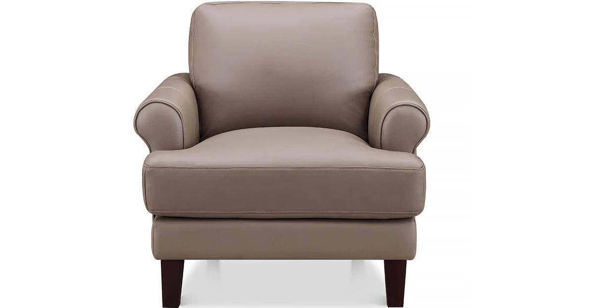 Austra Genuine Leather Accent Chair